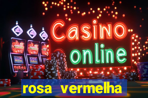 rosa vermelha (letra e cifra)
